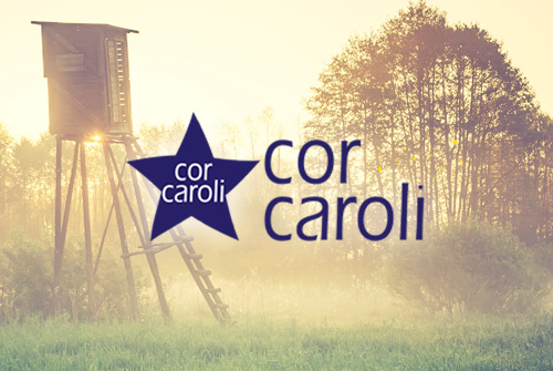 Application web métier sur mesure de Cor Caroli